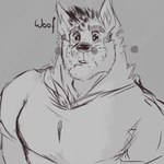 anthro black_nose ear_piercing fur male muscular muscular_anthro muscular_male pecs piercing solo insanysage sany_(insanysage) canid canine canis mammal wolf 1:1 hi_res