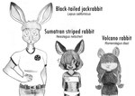 2024 absurd_res big_breasts black-tailed_jackrabbit braided_hair breasts broad_shoulders clothing covered_eyes efradraws eyebrows fur graphite_(artwork) hair hare hi_res lagomorph leporid mammal model_sheet monochrome multicolored_body multicolored_fur one_eye_obstructed one_piece_suit painting_(artwork) pencil_(artwork) short_hair size_difference sketch small_breasts sumatran_striped_rabbit swimwear thick_eyebrows traditional_media_(artwork) volcano_rabbit