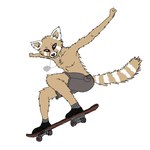 anthro bottomwear clothing dog_tags male shorts skateboard solo vehicle jaxneesen ailurid mammal red_panda 1:1 hi_res