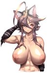 abs ahoge big_breasts breasts brown_hair female hair inner_ear_fluff long_hair navel nipples nude simple_background solo tuft white_background nekoarashi yagatake_arashi animal_humanoid cat_humanoid felid felid_humanoid feline feline_humanoid humanoid mammal mammal_humanoid