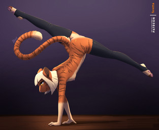 anthro anus blonde_hair breasts clothing female flexible fur genitals hair handstand legwear legwear_only markings mostly_nude nude orange_body orange_fur pawpads side_view simple_background small_breasts solo splits spread_legs spreading stockings stockings_only striped_markings stripes tan_body tan_fur vulva yellow_eyes feretta cassandra_kitty domestic_cat felid feline felis mammal tabby_cat 2026 dated hi_res