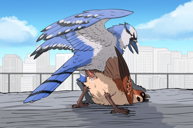 animal_genitalia animal_penis ass_up avian_feet beak blue_body bodily_fluids cloaca cloacal cloacal_penetration cum cum_from_cloaca cum_in_cloaca cum_inside duo erection feathered_wings feathers female female_penetrated feral feral_on_feral feral_penetrated feral_penetrating feral_penetrating_feral genital_fluids genitals looking_back male male/female male_penetrating male_penetrating_female open_beak open_mouth outside_sex penetration penile penile_penetration penis penis_in_cloaca sex tail tail_feathers wings zafara_(artist) avian bird blue_jay corvid jay_(bird) new_world_jay oscine passerine digital_media_(artwork) hi_res