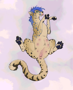 andromorph animal_genitalia animal_vulva anus bedroom_eyes black_spots black_stripes blue_hair blue_spots claws feline_genitalia feline_vulva feral fur genitals hair intersex lying multi_nipple narrowed_eyes nipples on_back pawpads pregnant presenting seductive simple_background smile solo spots stripes tongue tongue_out vulva yellow_body yellow_fur queenkoko bluebonnet cheetah felid feline mammal absurd_res hi_res