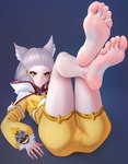 5_toes amber_eyes barefoot clothed clothing feet female foot_focus grey_hair hair humanoid_feet looking_at_viewer plantigrade soles solo toes puffypinkpaws xenoblade_(series) nia_(xenoblade) animal_humanoid felid felid_humanoid feline feline_humanoid humanoid mammal mammal_humanoid hi_res