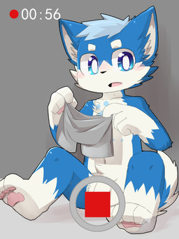 4_fingers anthro biped blue_body blue_eyes blue_fur blush camera_view clothing convenient_censorship countershading cute_fangs fangs fingers flaccid fur genitals ineffective_censorship kemono male nude open_mouth penis penis_base recording shota sitting solo teeth underwear white_body white_fur young young_anthro bettaright canid canine canis domestic_dog mammal 3:4 absurd_res censored hi_res