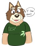 anthro black_eyes brown_body brown_ears brown_fur brown_hair brown_nose clothing front_view fur green_clothing green_shirt green_t-shirt green_topwear hair half-closed_eyes male multicolored_body multicolored_clothing multicolored_fur multicolored_shirt multicolored_t-shirt multicolored_topwear narrowed_eyes orange_body orange_fur shirt simple_background smile solo speech_bubble t-shirt text topwear two_tone_clothing two_tone_shirt two_tone_t-shirt two_tone_topwear white_background beargarbage bluey_(series) mort_cattle australian_cattle_dog canid canine canis cattledog domestic_dog herding_dog mammal pastoral_dog 2024 digital_media_(artwork) english_text hi_res