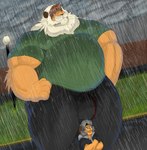 anthro beard belly big_belly big_bulge bottomwear bulge clothing crossed_arms duo facial_hair fur grey_hair hair hand_on_hip hiding_from_rain hoodie huge_belly huge_bulge huge_muscle light_source male musclegut muscular mustache orange_body orange_fur outside pants raining shirt size_difference smile topwear mc_morrales abel_morrales felid lion mammal pantherine 2020 hi_res