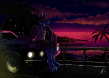 anthro black_body black_bottomwear black_clothing black_fur black_shorts black_tail blue_body blue_eyes blue_fur blue_tail bottomwear clothed clothing cloud fur male male_anthro mouth_closed night outside palm_tree plant shorts sitting solo tail topwear tree white_clothing white_topwear hufnaar canid canine mammal 2017 dated signature