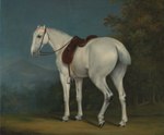 ambiguous_gender butt feral fur grass halter hooves looking_at_viewer looking_back looking_back_at_viewer mane mountain mouth_closed outside plant rear_view saddle shadow snout solo standing three-quarter_view tree white_body white_fur jacques-laurent_agasse equid equine horse mammal 1806 19th_century absurd_res ancient_art formal_art full-length_portrait hi_res painting_(artwork) portrait shaded soft_shading traditional_painting_(artwork)