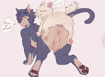 ambiguous_gender anthro anus backsack balls butt duo genitals holding_from_behind kneeling looking_back male male/ambiguous rear_view size_difference sherlock-catt ace_attorney capcom barok_van_zieks cherry_(sherlock-catt) domestic_cat felid feline felis maine_coon mammal hi_res
