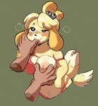 anthro blush breasts disembodied_hand duo female finger_fetish finger_in_mouth finger_play fingers fur grope hair nipples solo_focus tail tail_motion tailwag yellow_body yellow_fur jonky animal_crossing nintendo isabelle_(animal_crossing) canid canine canis domestic_dog mammal shih_tzu toy_dog hi_res