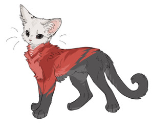 ambiguous_gender black_body black_fur feral fur mouth_closed paws pupils quadruped red_body red_fur simple_background solo standing tail white_background white_body white_fur aaasakawa hollow_knight_(franchise) team_cherry hornet_(hollow_knight) felid feline mammal 2026 female_(lore)