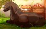 apple barrel box brown_body brown_fur brown_hooves container day farm feral food fruit fur grass hooves male outside plant solo tail work baohellhound darragh equid equine horse mammal hi_res