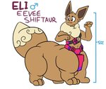 3_toes chart clothing feet fluffy gem head_tuft height_chart male overweight overweight_male overweight_taur rock simple_background solo toes tuft loganarcania nintendo pokemon eli_(loganarcania) eevee generation_1_pokemon pokemon_(species) pokemon_taur taur colored flat_colors model_sheet