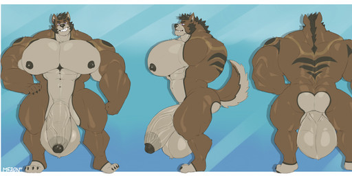 abs anthro balls flaccid genitals humanoid_genitalia humanoid_penis male muscular muscular_anthro muscular_male nipples nude pecs penis solo merong roco_(therocodogo) canid canine canis domestic_dog mammal 2026 hi_res model_sheet