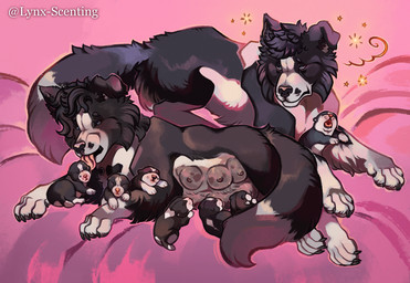 6_breasts 6_nipples belly breastfeeding breasts female feral group litter_(animal) male male/female multi_breast multi_nipple neonate nipples personal_grooming pregnant pregnant_female spots spotted_belly teats tired young lynx_scenting border_collie canid canine canis collie domestic_dog herding_dog mammal pastoral_dog sheepdog hi_res father_(lore) mother_(lore) parent_(lore)