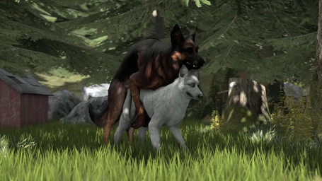 all_fours anatomically_correct animal_genitalia animal_penis animal_vulva balls bodily_fluids bouncing_balls butt canine_genitalia canine_penis canine_vulva cum cum_in_vagina cum_inside doggystyle duo female female_penetrated feral feral_on_feral feral_penetrated feral_penetrating feral_penetrating_feral forest from_behind_position fur genital_fluids genitals knot male male/female male_penetrating male_penetrating_female open_mouth orgasm penetration penile penile_penetration penis penis_in_vagina plant pull_out realistic_feral sex tree unknotting vaginal vaginal_penetration vulva white_body white_fur wolfland canid canine canis domestic_dog german_shepherd herding_dog mammal pastoral_dog 16:9 2020 3d_(artwork) 3d_animation animated digital_media_(artwork) hi_res high_framerate huge_filesize no_sound short_playtime source_filmmaker_(artwork) webm widescreen