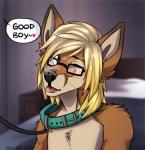 anthro bodily_fluids collar cum cum_on_face eyewear genital_fluids glasses leash male offscreen_character one_eye_closed solo submissive tongue tongue_out wink shiki-kun-baka taz_(evilbread) canid canine fennec_fox fox mammal true_fox hi_res