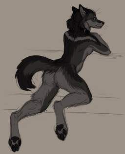 anthro black_body black_fur black_nose black_tail blue_eyes butt ear_piercing ear_ring ears_back female female_anthro fur glistening glistening_eyes grey_body grey_fur grey_tail looking_at_viewer mouth_closed nude piercing pivoted_ears rear_view ring_piercing solo tail heatherwolf canid canine canis mammal wolf absurd_res hi_res