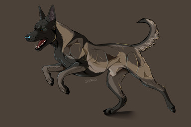 anatomically_correct anatomically_correct_feral anatomically_correct_genitalia anatomically_correct_penis animal_genitalia animal_penis arms_bent balancing black_claws black_lips black_nose black_pawpads brown_arms brown_back brown_background brown_body brown_butt brown_chest brown_ears brown_eyebrows brown_face brown_fur brown_head brown_legs brown_neck brown_paws brown_snout brown_tail butt canine_genitalia canine_penis canine_teeth claws countershade_fur countershade_tail countershading cropped_ears curved_tail dewclaw digitigrade drop_shadow ears_up eyebrows fangs feral fur genitals glistening glistening_body glistening_fur glistening_nose gums incisors iris leg_scar lips looking_forward male missing_tooth molars monotone_face monotone_head multicolored_arms multicolored_back multicolored_butt multicolored_legs multicolored_neck multicolored_tail on_one_leg open_mouth orange_eyes pawpads penis penis_tip pink_inner_ear pupils quadruped raised_tail realistic_feral red_gums red_tongue scar sheath side_view simple_background solo standing tail tan_arms tan_back tan_body tan_butt tan_chest tan_countershading tan_fur tan_legs tan_neck tan_sheath tan_tail teeth teeth_showing text tongue tongue_showing two_tone_chest whisker_spots ninjadog2015 canid canine canis domestic_dog herding_dog malinois_dog mammal pastoral_dog sheepdog 2020 3:2 absurd_res artist_name digital_media_(artwork) english_text hi_res