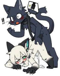 ambiguous_penetration anthro anthro_on_anthro anthro_penetrated anthro_penetrating anthro_penetrating_anthro ass_up biped black_body black_ears black_fur blep blush bodily_fluids bottomless bottomless_anthro bottomless_female cat_tail cheek_tuft chest_tuft claws closed_smile clothed clothing cum cum_inside cum_on_ground cutaway digitigrade doggystyle duo ejaculation exclamation_point facial_tuft fangs female female_penetrated finger_claws from_behind_position fur genital_fluids gradient_fur green_eyes green_inner_ear hair head_tuft hip_tuft inner_ear_fluff intraspecies kemono leaking_cum male male/female male_penetrating male_penetrating_female mouth_closed multicolored_body multicolored_fur nude nude_anthro nude_male one_eye_closed open_mouth penetration plantigrade sex shirt simple_background slim slim_anthro slim_female slim_male smile species_transformation star_pupils surprised sweat tail_around_neck teeth three-quarter_view thrust_lines thrusting tongue tongue_out topwear transformation tuft two_tone_body two_tone_fur vaginal_fluids whiskers white_background white_body white_fur white_hair wink pizademokttero digitan_(porforever) nifram_logan domestic_cat felid feline felis mammal 2025 4:5 absurd_res digital_drawing_(artwork) digital_media_(artwork) hi_res