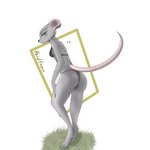 anthro butt clothing female grass lingerie plant solo hardenonn mammal mouse murid murine rodent 1:1 hi_res