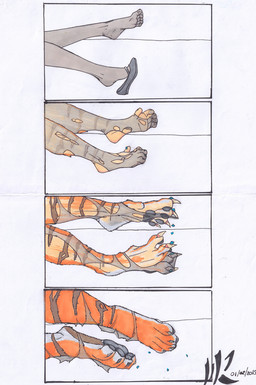 anthro black_body black_fur claws clothing colored_nails colored_toenails discarded_clothing feet female foot_focus footwear fur fur_growth growth legwear markings nails orange_body orange_fur pantyhose paw_growth paw_transformation pawpads simple_background solo striped_markings stripes toenails toes torn_clothing torn_legwear torn_pantyhose transformation undressing white_body white_fur mjr_(artist) felid feline human mammal pantherine tiger hi_res
