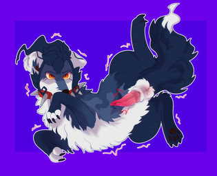 animal_genitalia balls claws collar countershade_snout countershade_torso countershading covering covering_mouth eyebrows feral fingerless_(marking) fluffy fluffy_tail fur genitals geometric_background grey_body grey_fur hair knot knotted_penis male motion_lines pawpads paws penis pivoted_ears purple_background red_collar sheath simple_background snout solo spiked_collar spikes tail yellow_eyes crossvallia canid canine fox mammal 2026 hi_res