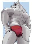 anthro big_butt butt clothing fluffy fluffy_tail looking_back male muscular muscular_anthro muscular_male solo speedo swimwear tail thick_thighs naikuma canid canine canis mammal wolf hi_res