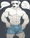 abs anthro bottomwear bulge clothed clothing dialogue male muscular muscular_anthro muscular_male solo text topless jrjresq animal_crossing lose_the_shorts nintendo k.k._slider canid canine canis domestic_dog mammal 2020 english_text hi_res