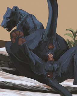 4_toes anus balls bed black_body black_fur butt digitigrade duo erection fangs feet female female_feral female_on_top female_penetrated feral feral_on_feral feral_penetrated feral_penetrating feral_penetrating_feral fur furniture genitals green_eyes inner_ear_fluff inside looking_at_viewer looking_back looking_back_at_viewer looking_pleasured lying male male/female male_feral male_penetrating male_penetrating_female on_back on_front on_top open_mouth pawpads penetration penile penile_penetration penis penis_in_vagina pink_penis quadruped raised_tail realistic_feral rear_view red_anus red_pawpads sex snout tail teeth toes tuft underpaw vaginal vaginal_penetration vulva cosmiclife felid jaguar mammal pantherine hi_res shaded