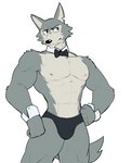 2023 abs anthro areola barazoku beastars bow_tie bulge canid canine canis chippendales clothed clothing fur grey_body grey_fur hi_res jrjresq legoshi_(beastars) male mammal muscular muscular_anthro muscular_male nipples pecs scar shirt_cuffs simple_background solo tail topless topless_anthro topless_male underwear wolf