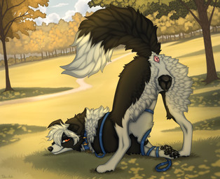 animal_genitalia animal_vulva ass_up bdsm black_body black_fur black_vulva bondage bound butt canine_genitalia canine_vulva claws collar dipstick_tail entangled female female_feral feral floppy_ears fur genitals head_down_ass_up leash leashed_collar looking_at_viewer looking_back looking_back_at_viewer markings outside pawpads presenting presenting_hindquarters raised_tail solo tail tail_anus tail_markings vulva whiskers white_body white_fur white_tail_tip a.o.kigahara_(artist) taka_(artist) ren_collie border_collie canid canine canis collie domestic_dog herding_dog mammal pastoral_dog sheepdog absurd_res hi_res
