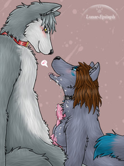 anthro black_collar black_nose blue_eyes blue_tail blush bodily_fluids breast_play breasts brown_hair collar collar_only cum cum_on_breasts dipstick_tail duo erection eye_contact female fluffy fluffy_tail fur genital_fluids genitals grey_body grey_fur grey_tail hair heart_symbol knot looking_at_another male male/female markings medium_breasts messy multicolored_body multicolored_fur nipples nude penis pink_background pink_knot pink_nipples pink_penis red_collar romantic romantic_couple sex side_view simple_background smile snout speech_bubble studded_collar studs tail tail_markings titfuck two_tone_body two_tone_fur two_tone_tail white_body white_fur yellow_eyes lunar_epitaph blaze-lupine_(character) blaze_(wolf) eclipse_silverwolf canid canine canis mammal wolf 3:4