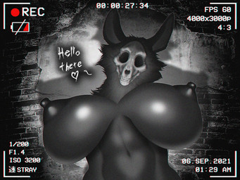 anthro areola big_breasts biped black_areola black_body black_eyes black_fur black_hair black_nipples bone breasts camera_view cheek_tuft dialogue empty_eyes facial_tuft female foreshortening fur hair heart_symbol huge_breasts long_ears looking_at_viewer navel neck_tuft nipples nude puffy_nipples recording shadow skull skull_head solo static talking_to_another teeth text tuft 1strayboy_(artist) mei-stray scp_foundation m4l4_du_waffle scp-1471-a canid canine malo mammal monster 2021 digital_media_(artwork) english_text half-length_portrait hi_res portrait signature