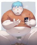 after_masturbation anthro belly blue_hair blush bodily_fluids clothing cum cum_on_hand electronics genital_fluids hair kemono male overweight overweight_anthro overweight_male phone shirt sitting solo topwear sv_grart bina_(sv_grart) canid canine canis domestic_dog mammal 2020 censored hi_res mosaic_censorship