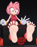 5_toes barefoot feet female foot_fetish foot_focus fur humanoid_feet pink_body pink_fur plantigrade restraints soles stocks toes kandenrem sega sonic_the_hedgehog_(series) amy_rose eulipotyphlan hedgehog mammal hi_res