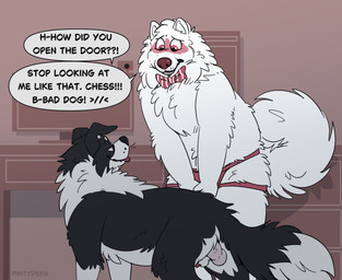 animal_genitalia anthro backsack balls clothing duo embarrassed feral genitals jockstrap looking_at_another male male/male sheath smirking_at_partner text underwear mintyderg chess_(mintyderg) sorbet_(mintyderg) border_collie canid canine canis collie domestic_dog herding_dog mammal nordic_sled_dog pastoral_dog samoyed sheepdog spitz absurd_res english_text hi_res