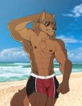 abs anthro beach belly biceps black_bottomwear black_clothing black_swimming_trunks black_swimwear blue_sky bottomwear brown_body brown_ears brown_face brown_fur brown_nipples bulge closed_smile clothed clothing cloud countershade_arms countershade_ears countershade_face countershade_fur countershade_tail countershade_torso countershading day eyewear fluffy fluffy_tail front_view fur glistening glistening_bottomwear glistening_clothing glistening_eyewear glistening_nipples glistening_nose glistening_sunglasses glistening_swimming_trunks glistening_swimwear light long_tail looking_aside male monotone_belly mouth_closed multicolored_body multicolored_bottomwear multicolored_clothing multicolored_ears multicolored_face multicolored_fur multicolored_swimming_trunks multicolored_swimwear multicolored_tail muscular muscular_anthro muscular_arms muscular_male navel nipples outside pecs pointy_ears pose prick_ears red_bottomwear red_clothing red_swimming_trunks red_swimwear sand seaside shadow sky smile snout solo standing sunglasses sunlight swimming_trunks swimwear tail tail_aside tan_belly tan_body tan_countershading tan_ears tan_face tan_fur tan_tail teeth topless two_tone_body two_tone_ears two_tone_face two_tone_fur two_tone_tail v-cut water white_bottomwear white_clothing white_swimming_trunks white_swimwear teasfox dante_(jimbob123432) canid canine canis mammal wolf hi_res icon pinup portrait signature three-quarter_portrait