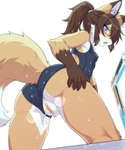 anthro anus biped black_nose blush bodily_fluids brown_body brown_fur brown_hair censored_genitalia censored_pussy clothed clothing clothing_aside female fur genital_fluids genitals hair low-angle_view multicolored_body multicolored_fur multicolored_tail one-piece_swimsuit open_mouth orange_body orange_fur orange_tail pixelated pussy solo swimwear swimwear_aside tail vaginal_fluids white_body white_fur white_tail gayoku_midara canid canine fox mammal 5:6 censored hi_res mosaic_censorship