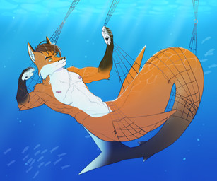 anthro bound brown_body brown_hair countershading fishing_net hair holding_object male multicolored_body net orange_body solo split_form underwater water white_body white_countershading m00nl1ghtt werefox_(character) aquatic canid canine fox mammal merfolk 2026 6:5 absurd_res hi_res