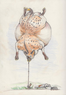 belly belly_expansion big_belly body_inflation expansion facial_piercing female feral floating helium_inflation huge_belly inflation nipples nose_piercing nose_ring piercing ring_piercing solo tied_down b460volt hyena mammal 2022 colored hi_res traditional_media_(artwork)