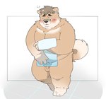 anthro balls belly black_nose blush flaccid genitals humanoid_hands kemono male moobs nipples overweight overweight_male penis small_penis solo towel inunoshippo canid canine canis domestic_dog mammal 2022 hi_res