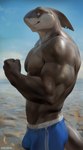 abs anthro biceps big_bulge bulge clothed clothing detailed_background featureless_chest gills male mature_anthro muscular muscular_anthro muscular_male neck_gills outside pecs solo standing topless chunie fish marine shark 2022 adobe_photoshop_(artwork) digital_media_(artwork) digital_painting_(artwork) hi_res painting_(artwork)