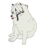 blep feral fluffy fur looking_aside male muzzle_(object) muzzled quadruped red_eyes solo tongue tongue_out white_body white_fur zeessert dogelore mihoyo zenless_zone_zero cheems von_lycaon canid canine canis mammal wolf 1:1 2024 hi_res