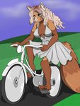 5_toes anthro barefoot bicycle breasts cleavage clothed clothing curling_toes cycling dress feet female fur hair markings outside plantigrade ring_(marking) ringed_tail solo striped_markings striped_tail stripes tail tail_markings toes vehicle sailoranna ailurid mammal red_panda 3:4 hi_res