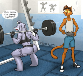 anthro arched_back blush bulge butt clothed clothing crouching dialogue duo ear_piercing erection erection_under_clothing exclamation_point exercise female gloves gym haillu_(anatomy) handwear looking_back male muscular muscular_female piercing slim standing tattoo tenting text weights kostos_art star_wars kostos_(kostosart) lexy_horne alien amphibian domestic_cat felid feline felis gungan mammal otolla_gungan russian_text
