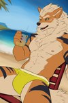 anthro beach bulge clothing male solo swimming_trunks swimwear kalembi nintendo pokemon arcanine generation_1_pokemon pokemon_(species) 2:3 absurd_res hi_res