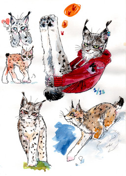 ambiguous_gender blue_eyes bottomless clothed clothing ear_piercing ear_tuft feral fur grey_body grey_fur group hoodie looking_at_viewer markings pawpads paws piercing quadruped ring_piercing simple_background spots tail topwear tuft whiskers white_background kyokyota felid feline lynx mammal 2015 absurd_res hi_res painting_(artwork) traditional_media_(artwork) watercolor_(artwork)