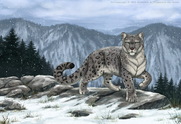 4_toes ambiguous_gender day detailed_background feet feral fur grass green_eyes grey_body grey_fur markings outside plant sky snow solo spots spotted_body spotted_fur toes whiskers anisis felid mammal pantherine snow_leopard 2015